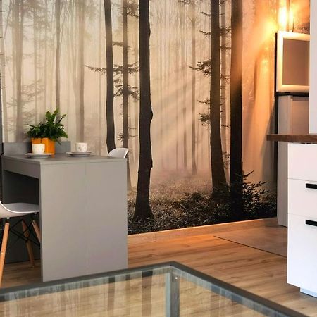 Apartament Sosnowa Puławy Buitenkant foto