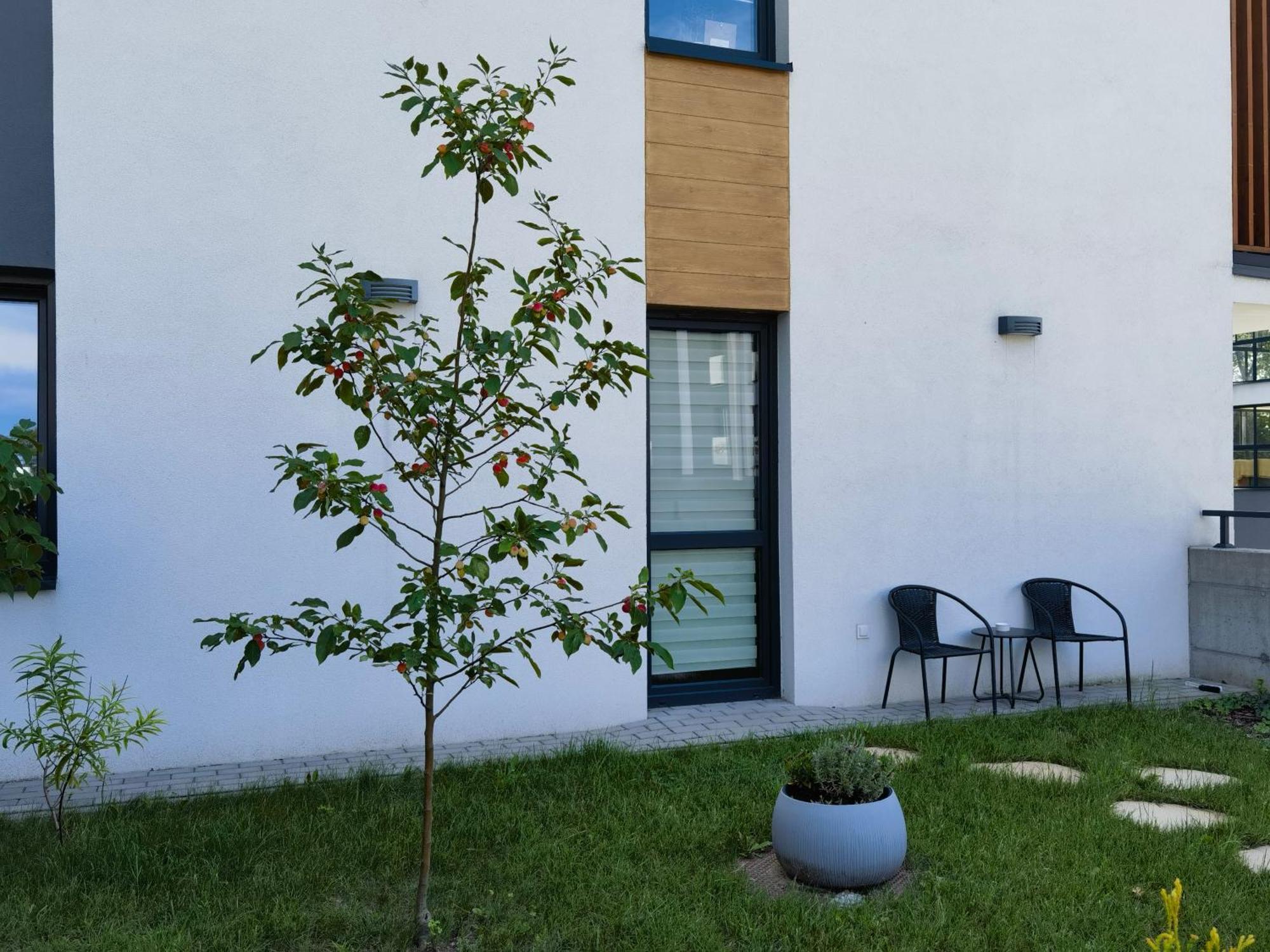 Apartament Sosnowa Puławy Buitenkant foto